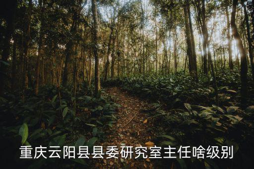 重慶云陽縣縣委研究室主任啥級(jí)別