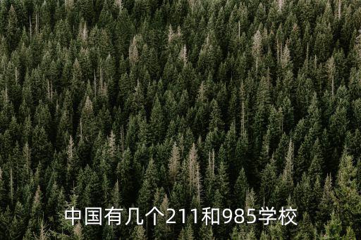 985211大學有哪些，985和211都有的大學有那幾個