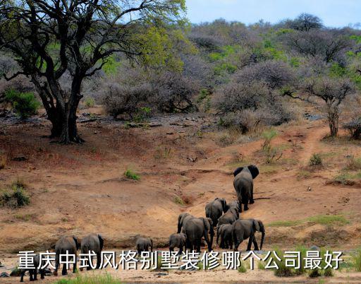 重慶中式風格別墅裝修哪個公司最好