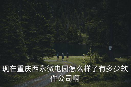 現在重慶西永微電園怎么樣了有多少軟件公司啊
