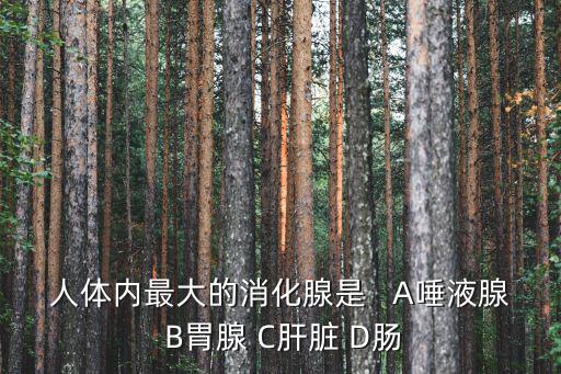 人體內最大的消化腺是   A唾液腺 B胃腺 C肝臟 D腸
