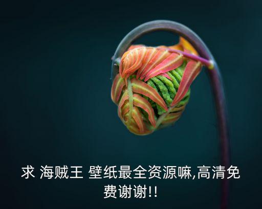 求 海賊王 壁紙最全資源嘛,高清免費謝謝!!