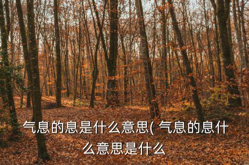 氣息是什么意思,呼吸和鼻息息息追蹤