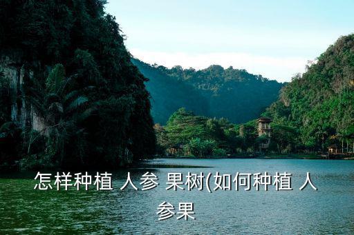 怎樣種植 人參 果樹(如何種植 人參果
