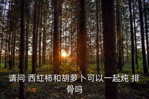 西紅柿排骨湯,西紅柿排骨湯的做法如下