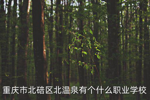重慶市北碚區北溫泉有個什么職業學校