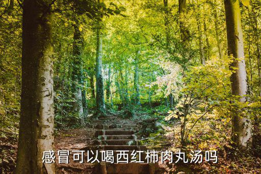 感冒可以喝西紅柿肉丸湯嗎