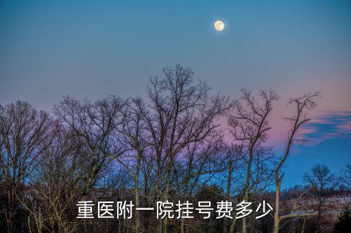 重慶市中醫附一李鴻掛號費用，重慶北碚中醫院的掛號費