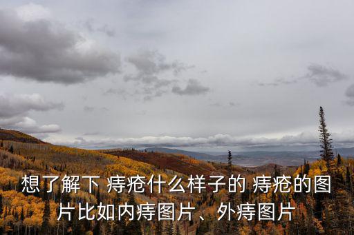 想了解下 痔瘡什么樣子的 痔瘡的圖片比如內痔圖片、外痔圖片