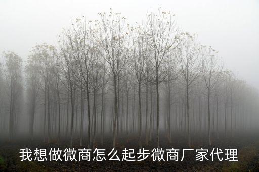 我想做微商怎么起步微商廠家代理