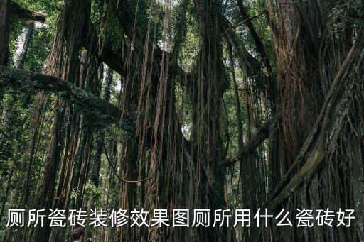 衛生間墻磚效果圖,衛生間濕漉漉怎么辦?可以這樣做