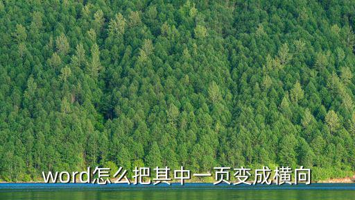 word怎么把其中一頁變成橫向