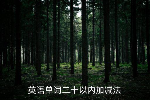 20以內連加連減，20以內的加減法不進位不退位的出20道題目不重復