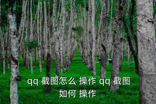  qq 截圖怎么 操作 qq 截圖如何 操作