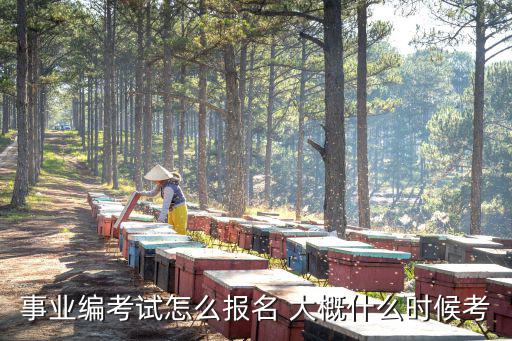 大數(shù)據(jù)中心事業(yè)單位怎樣報名，事業(yè)編考試怎么報名 大概什么時候考