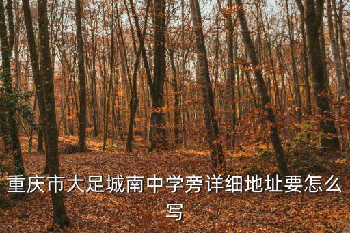 重慶市大足城南中學旁詳細地址要怎么寫