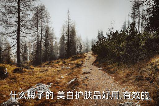 美白化妝品,美白精華液濕敷美白效果瞬間提亮