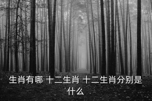 生肖有哪 十二生肖 十二生肖分別是什么