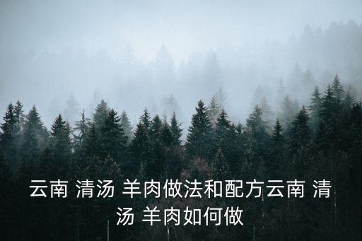 云南 清湯 羊肉做法和配方云南 清湯 羊肉如何做