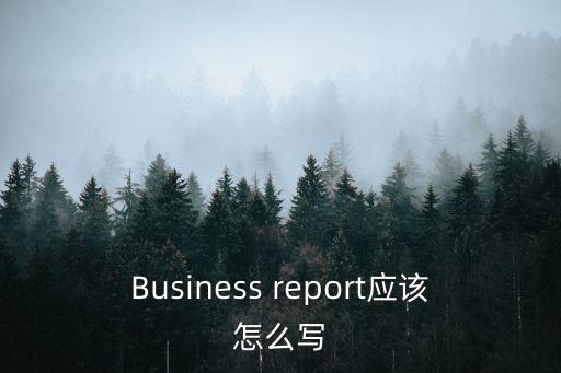 Business report應(yīng)該怎么寫