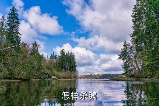 重慶市鮮鵝宰殺，怎么宰鵝