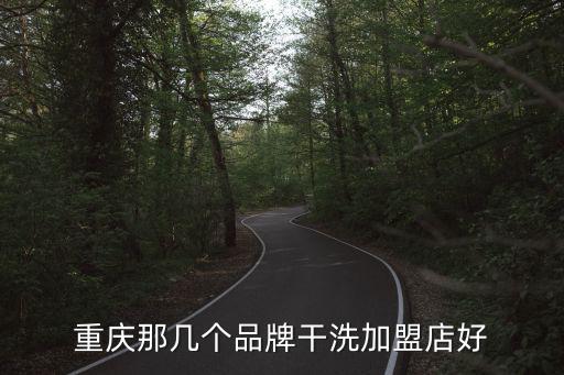 重慶那幾個品牌干洗加盟店好