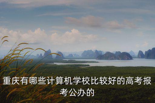 重慶有哪些計算機學校比較好的高考報考公辦的