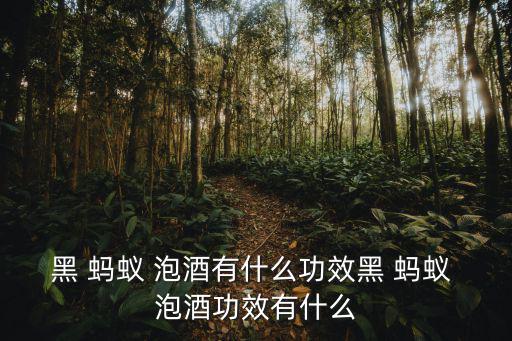 黑 螞蟻 泡酒有什么功效黑 螞蟻 泡酒功效有什么