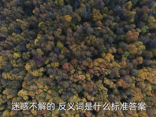  迷惑不解的 反義詞是什么標準答案