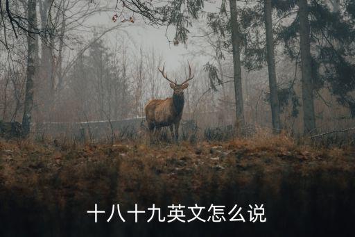 十八十九英文怎么說