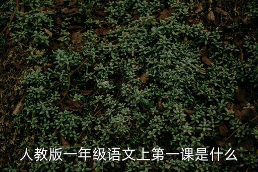 人教版一年級(jí)語文上冊，人教版一年級(jí)語文上第一課是什么