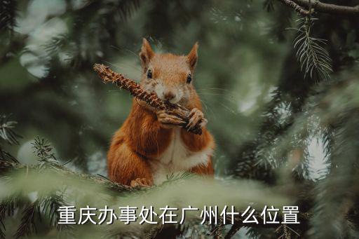 重慶市政府會遷往哪里，重慶市政府駐京辦事處在哪個區(qū)