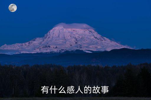 有什么感人的故事