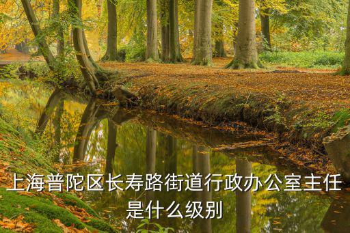 上海普陀區長壽路街道行政辦公室主任是什么級別