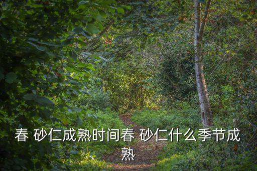 春 砂仁成熟時間春 砂仁什么季節(jié)成熟
