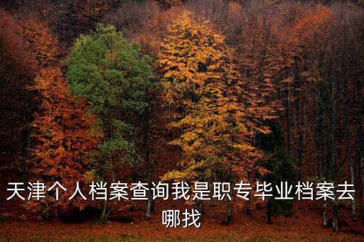 天津市寶坻區(qū)檔案查詢網(wǎng)，天津市個人檔案能在網(wǎng)上查詢到么