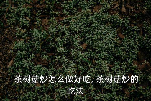 炒茶樹菇,秘制（八）
