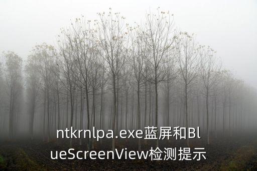 ntkrnlpa.exe藍屏和BlueScreenView檢測提示
