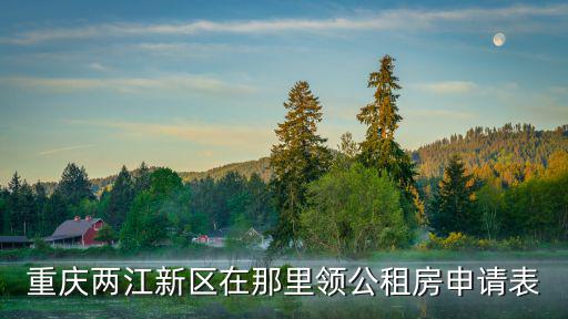 重慶市兩江新區公租房申請點在哪，重慶兩江新區在那里領公租房申請表