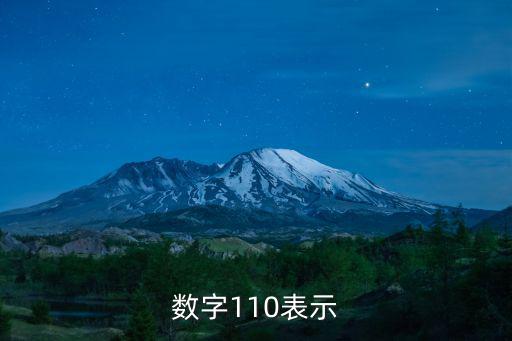 數字110表示