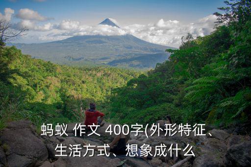 觀察螞蟻作文400字,螞蟻圍著餅干轉幾圈又跑回來