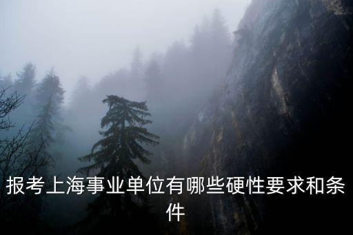 上海事業編考試條件，報考上海事業單位有哪些硬性要求和條件
