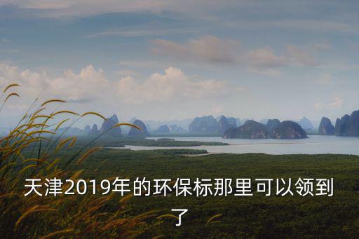 天津2019年的環(huán)保標(biāo)那里可以領(lǐng)到了