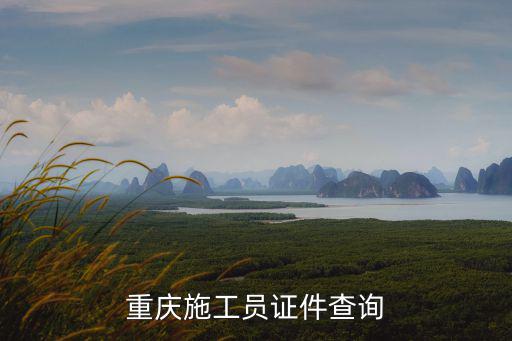 重慶市特種人員怎么查詢，查詢特種作業人員成績怎么查詢