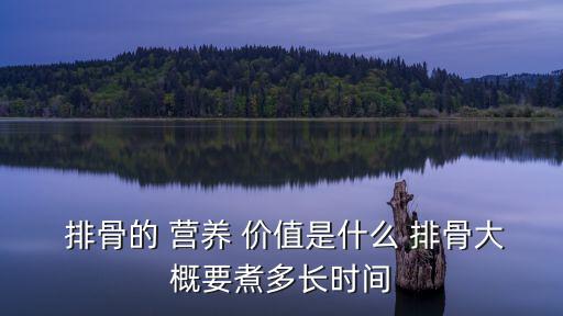  排骨的 營養 價值是什么 排骨大概要煮多長時間