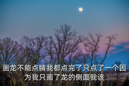 畫龍不能點睛我都點完了只點了一個因為我只畫了龍的側面我該