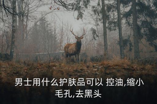  男士用什么護膚品可以 控油,縮小毛孔,去黑頭