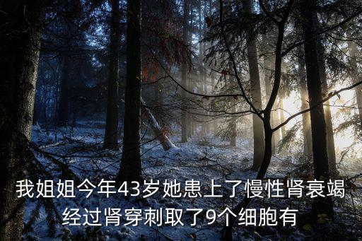 我姐姐今年43歲她患上了慢性腎衰竭經(jīng)過腎穿刺取了9個(gè)細(xì)胞有