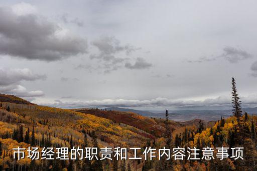 市場經理的職責和工作內容注意事項