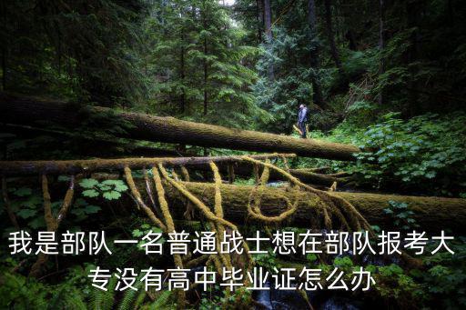我是軍人，我的理想是軍人 300字左右的作文怎么寫
